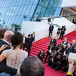 Gray 2a2 * Cannes
