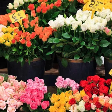 아파트 Gray 2a2 *