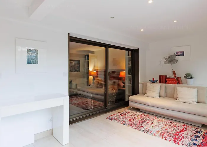 Apartment Gray 2a2 Cannes