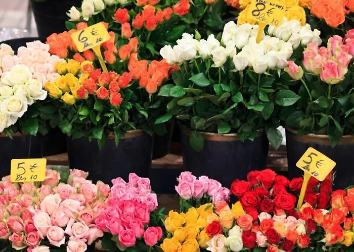 Apartment Gray 2a2 *